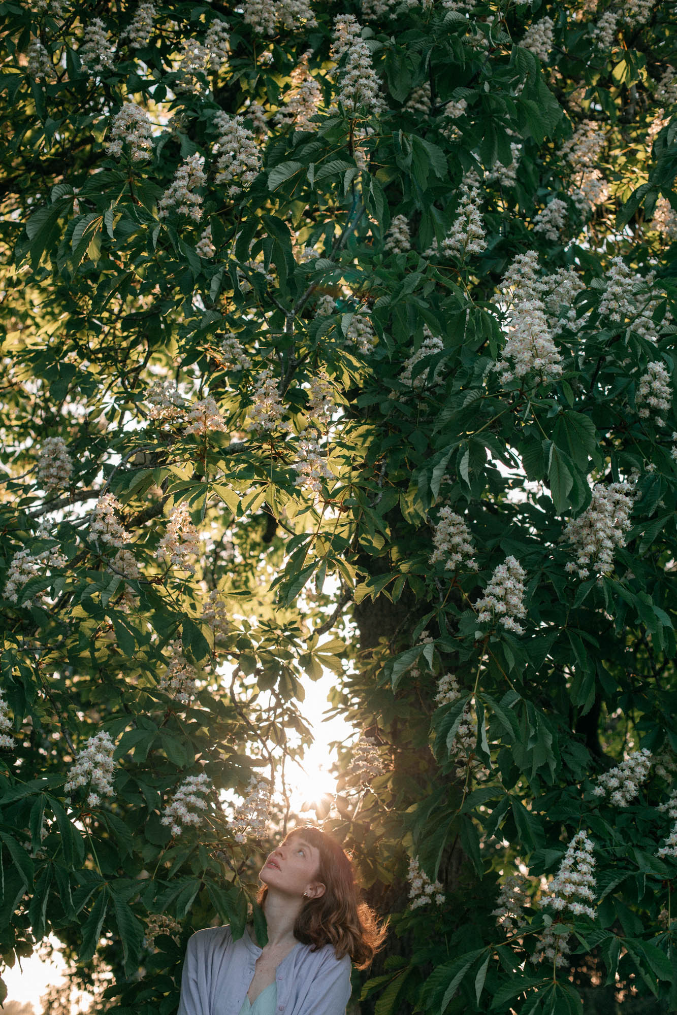 Femme regardant un marronnier en fleurs à contre-jour