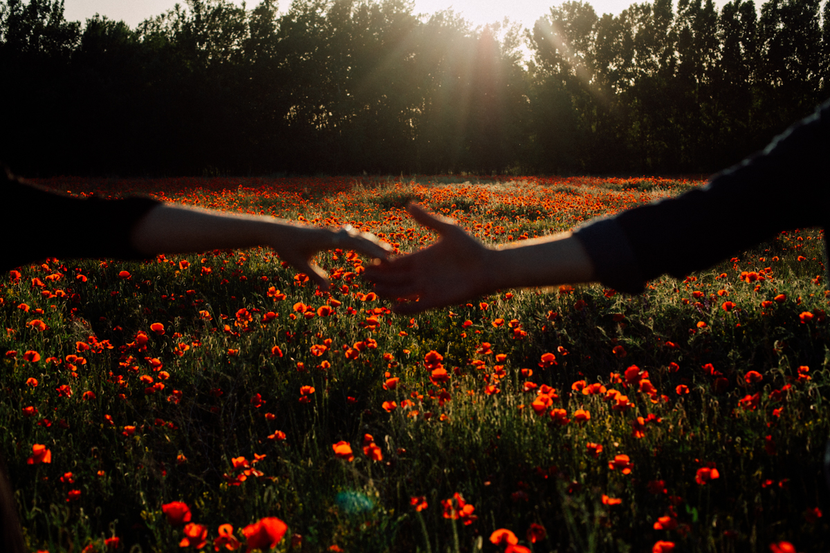 Deux mains qui se cherchent au-dessus d'un champ de coquelicots